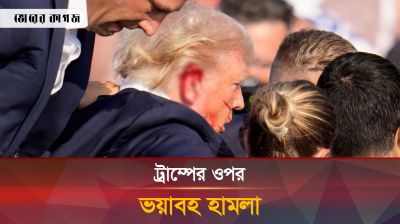 ট্রাম্পের ওপর হা-মলার এক্সক্লুসিভ ভিডিও প্রকাশ 