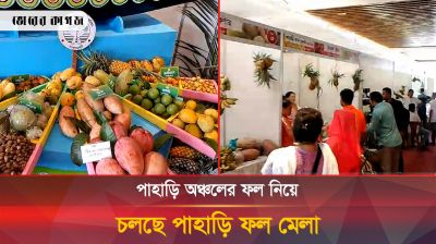 রাজধানীর বেইলি রোডে জমে উঠেছে পাহাড়ি ফল মেলা 