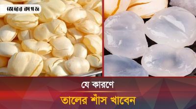 তালের শাঁস খেলে যেসব উপকার পাবেন
