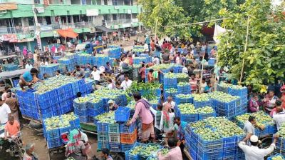 শেষ সময়ে বেশি দামে বিক্রি হচ্ছে রাজশাহীর আম