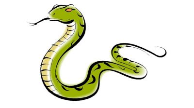 বেশির ভাগ মানুষেরই সাপ নিয়ে ভুল ধারণা 