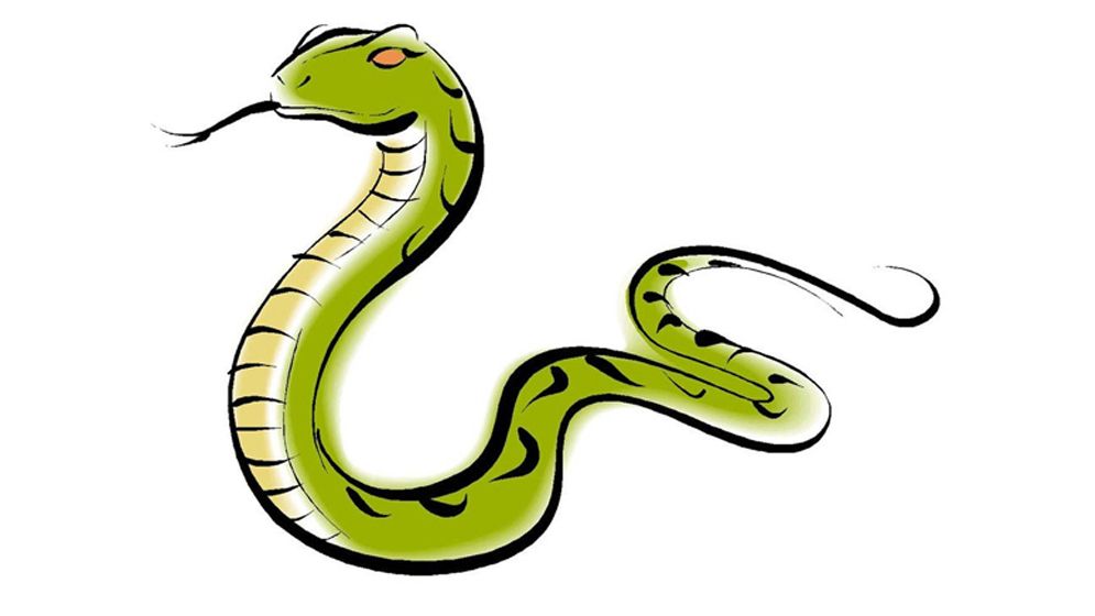 বেশির ভাগ মানুষেরই সাপ নিয়ে ভুল ধারণা