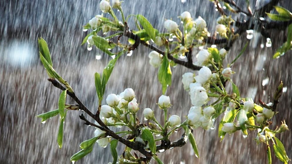 সারাদেশে ভারী বৃষ্টিপাত, সমুদ্র বন্দরে ৩ নম্বর সতর্ক সংকেত 