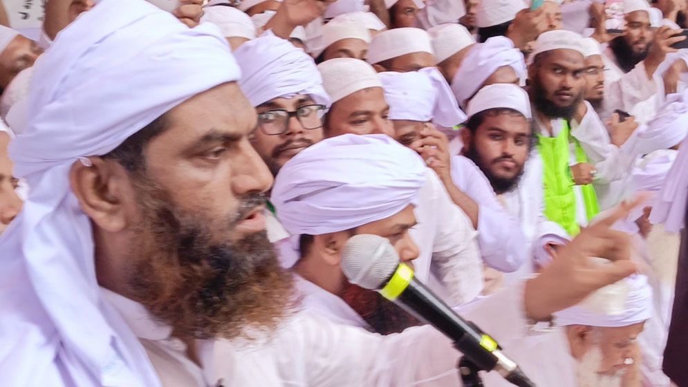 আওয়ামী লীগের রাজনীতি নিয়ে বিস্ফোরক মন্তব্য মামুনুল হকের
