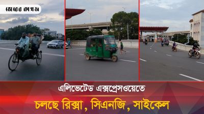 টোল ছাড়াই চলছে সব ধরনের যান, হাঁটতে আসছেন অনেকেই