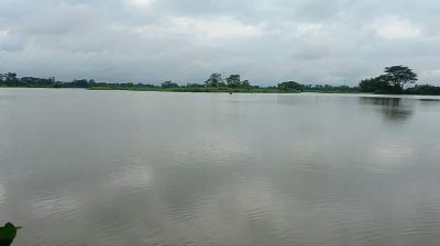 হাটহাজারীতে প্রবল বর্ষণে নিম্নাঞ্চল প্লাবিত