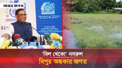 মামলার ভয় দেখিয়ে নসরুল বিপুর দখলে বিলের ৫০০ বিঘা জমি