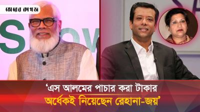 কত টাকা দুর্নীতি করেছেন শেখ পরিবার জানালেন সালমান