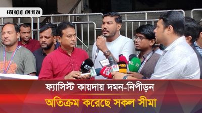 পুলিশ ঠান্ডা মাথায় সাংবাদিক মেহেদিকে গুলি করে হত্যা করেছে