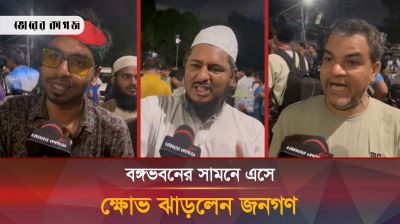 বঙ্গভবনের সামনে এসে ক্ষোভ ঝাড়লেন জনগণ
