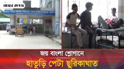 সিরাজগঞ্জের এনায়েতপুরে জয় বাংলা শ্লোগানে হাতুড়ি পেটা ছুরিকাঘাত, আহত চার ছাত্র 
