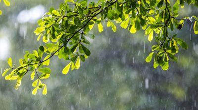 দেশের ৯ অঞ্চলে ঝোড়ো বৃষ্টির আভাস