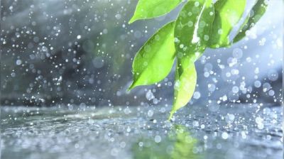যেসব জেলায় বৃষ্টির আভাস