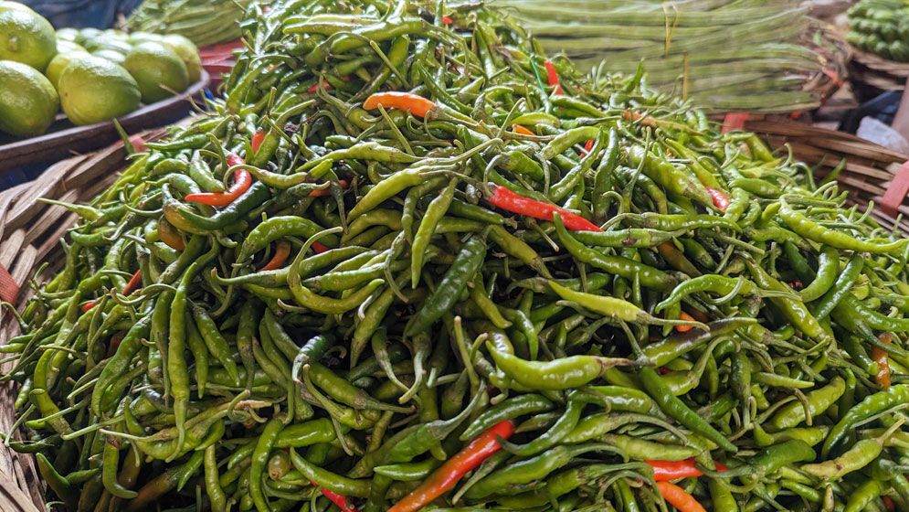 হু হু করে বাড়ছে কাঁচা মরিচের দাম