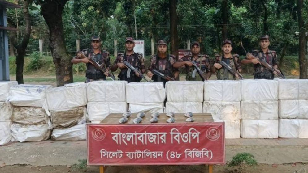 ভারতে পাচারের সময় সীমান্তে ৮৮৫ কেজি ইলিশ জব্দ
