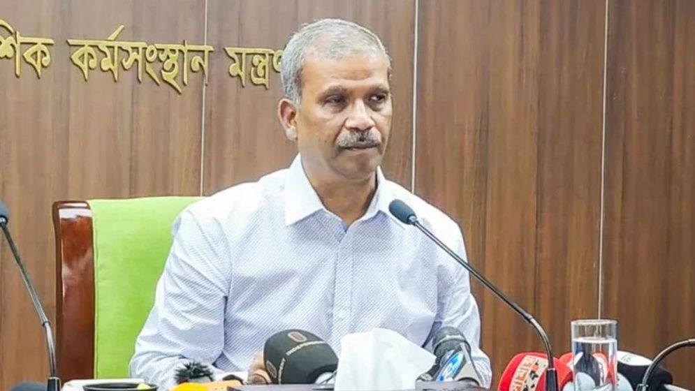ভিআইপি সেবা পাবেন রেমিট্যান্স যোদ্ধারা: আসিফ নজরুল