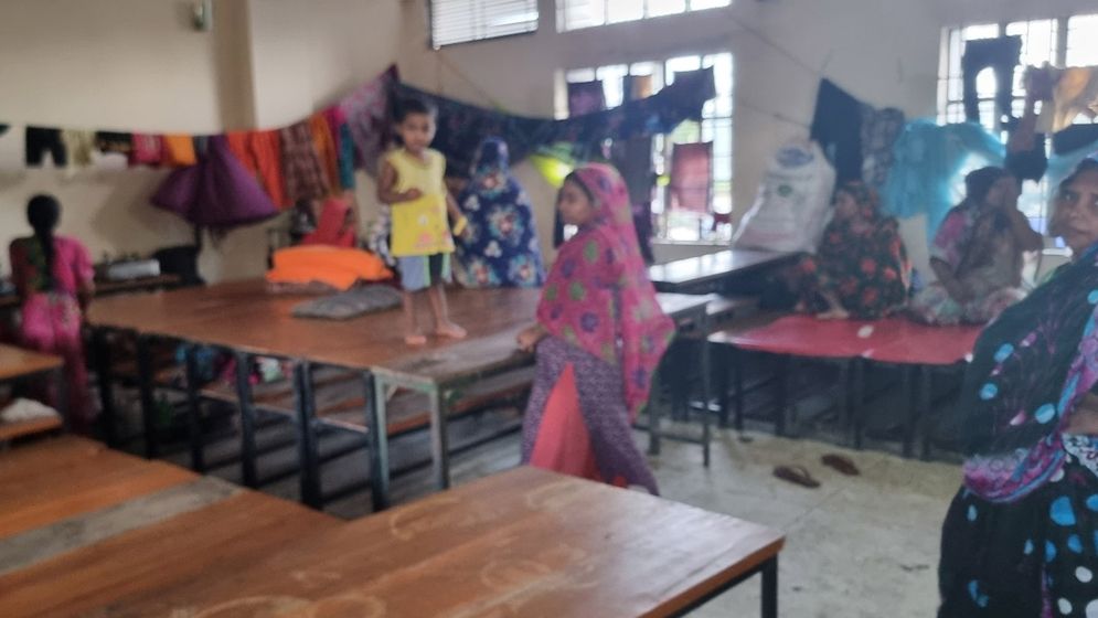 নোয়াখালীতে বন্যায় সাপের উপদ্রব, হাসপাতালে ভর্তি ২৫৫