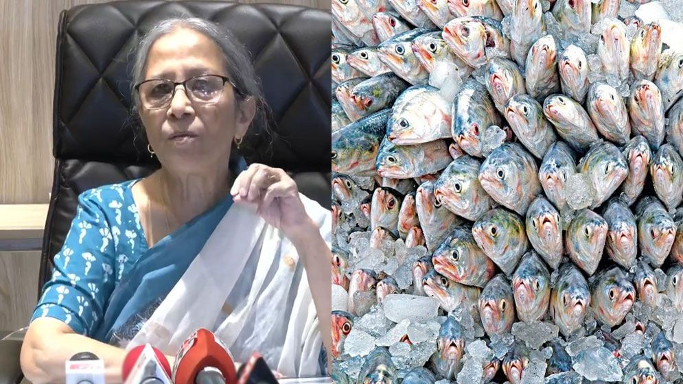 ‌‌‘ভারতে ইলিশ রপ্তানি নিয়ে কমিটমেন্ট আগের মতোই আছে’