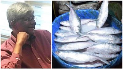 ভারতে ইলিশ রপ্তানি প্রসঙ্গে অর্থ উপদেষ্টা: ইমোশনাল কথা বলে লাভ নেই