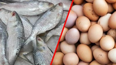 ভারত থেকে ডিম আমদানি হলেও বন্ধ থাকছে ইলিশ রপ্তানি