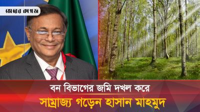 বন বিভাগের জমি দখল করে পর্যটন কেন্দ্র গড়েন হাসান মাহমুদ