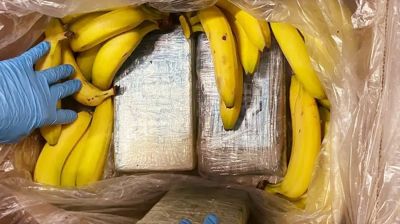 কলার ঝুড়িতে মিললো ৭০ লাখ ইউরোর কোকেন