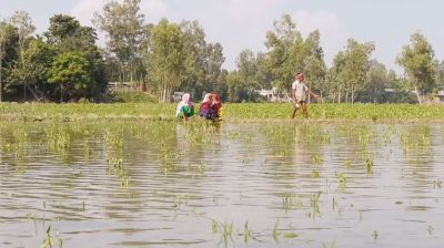 কৃষি খাতে ক্ষতির পরিমাণ কয়েক হাজার কোটি টাকা