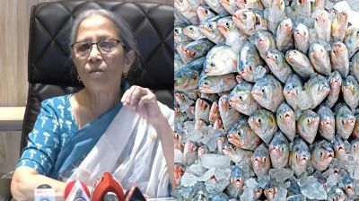 ‌‌‘ভারতে ইলিশ রপ্তানি নিয়ে কমিটমেন্ট আগের মতোই আছে’