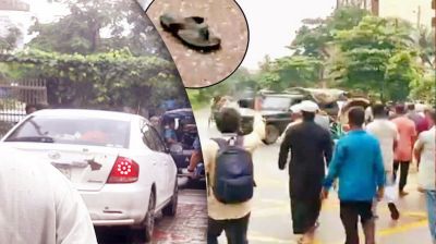 নির্বাচন কমিশনারের গাড়িতে বিক্ষুব্ধ জনতার জুতা নিক্ষেপ (ভিডিও)