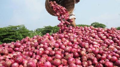 কমতে শুরু করেছে পেঁয়াজের দাম