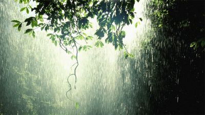 বৃষ্টি নিয়ে যে বার্তা দিলো আবহাওয়া অফিস