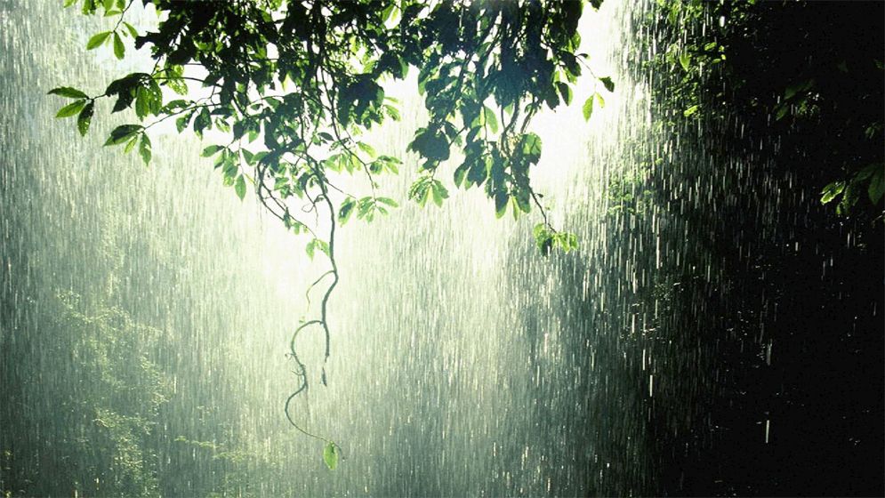 বৃষ্টি নিয়ে যে বার্তা দিলো আবহাওয়া অফিস