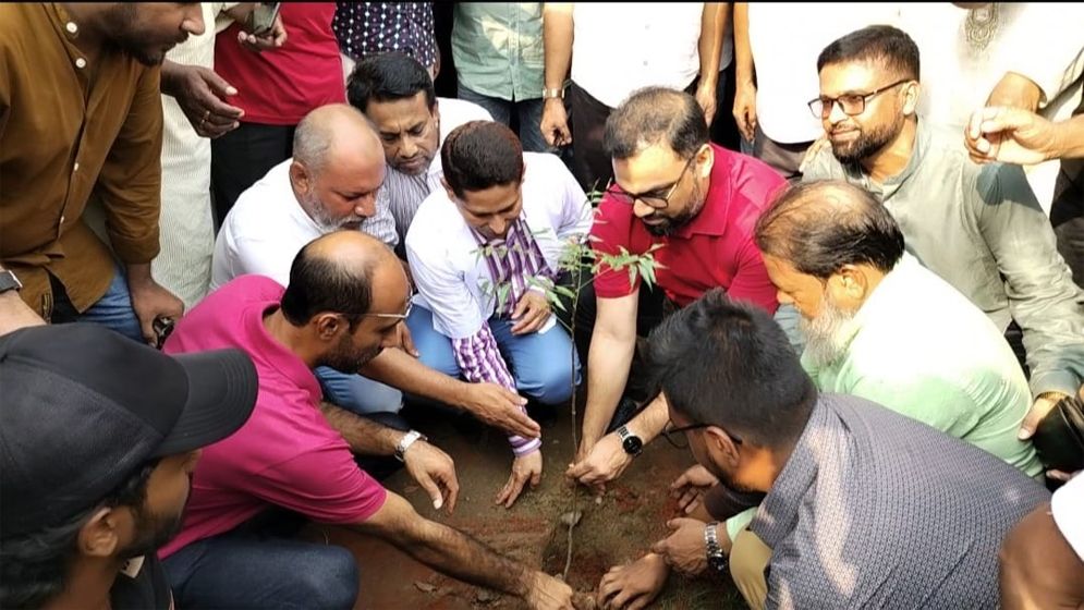 পরিবেশ বান্ধব সুন্দর শহর গড়তে বৃক্ষরোপণের বিকল্প নেই