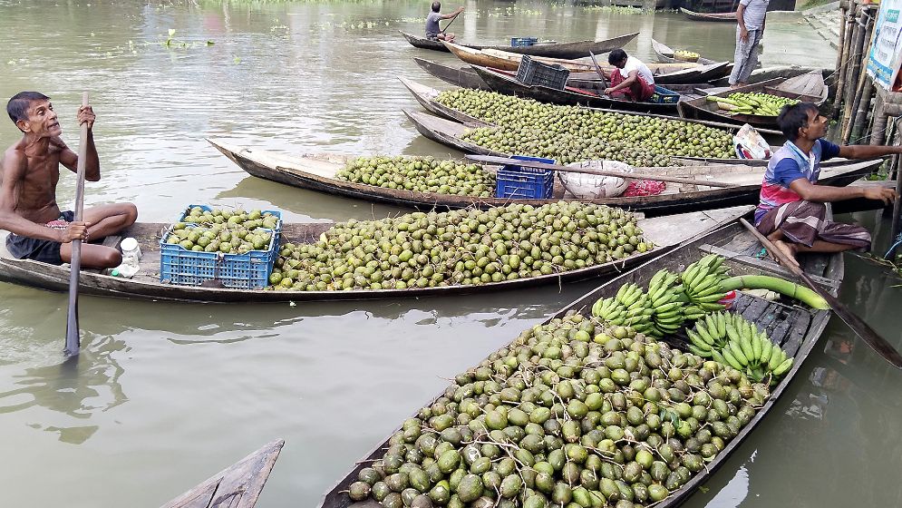 দেশ সেরা ঝালকাঠির আমড়া, যাচ্ছে বিদেশেও!