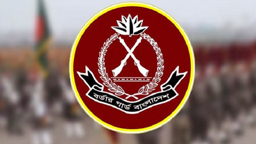 বিজিবির অভিযানে ২৫৩ কোটি ৫৬ লাখ টাকার চোরাচালান জব্দ