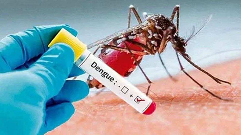 ডেঙ্গু কেড়ে নিলো আরো ৪ প্রাণ, শনাক্ত ১১২১
