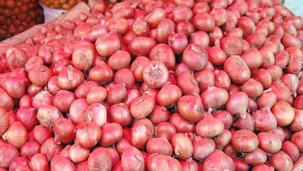 ভারতীয় পেঁয়াজ বিক্রি হচ্ছে ২০ টাকায়!