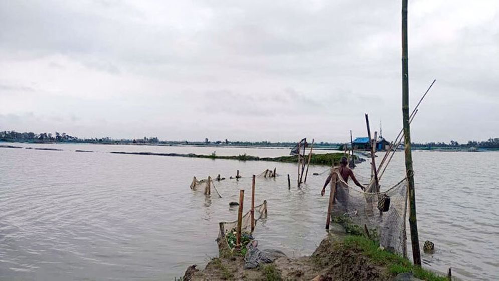 পাহাড়ি ঢলের পানিতে ভেসে গেছে ৭০ কোটি টাকার মাছ