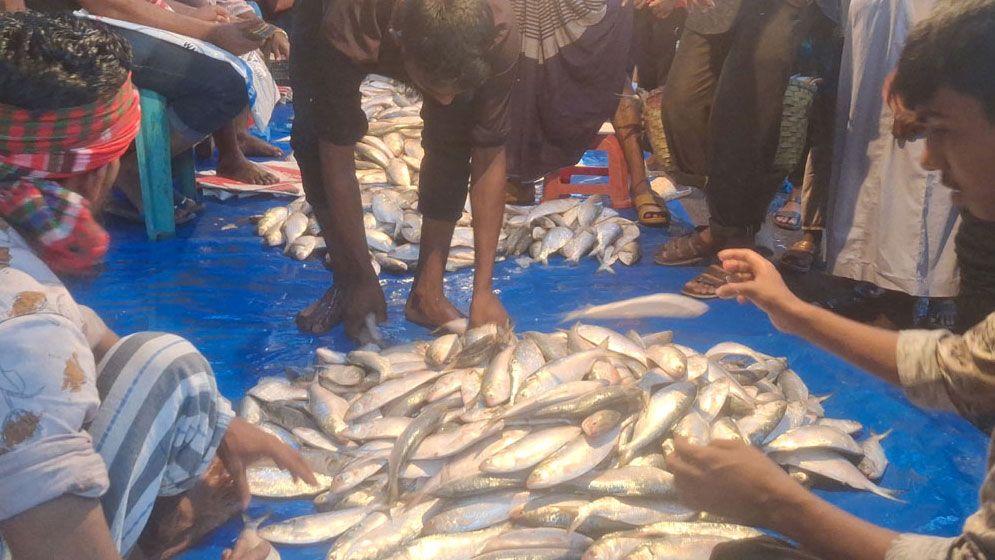 দাম কমিয়ে মাইকিং করে বিক্রি হচ্ছে ইলিশ