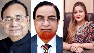 বাহার-সূচনা ও মুজিবুল হকের দুর্নীতির অনুসন্ধান