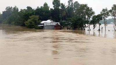 ত্রাণ কার্যক্রমে বৈষম্যের শিকার শেরপুর, বন্যার্তদের পাশে দাঁড়ানোর আহ্বান