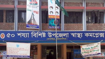 ভিমরুলের কামড়ে প্রাণ গেলো বাবা-মেয়ের, ছেলে হাসপাতালে