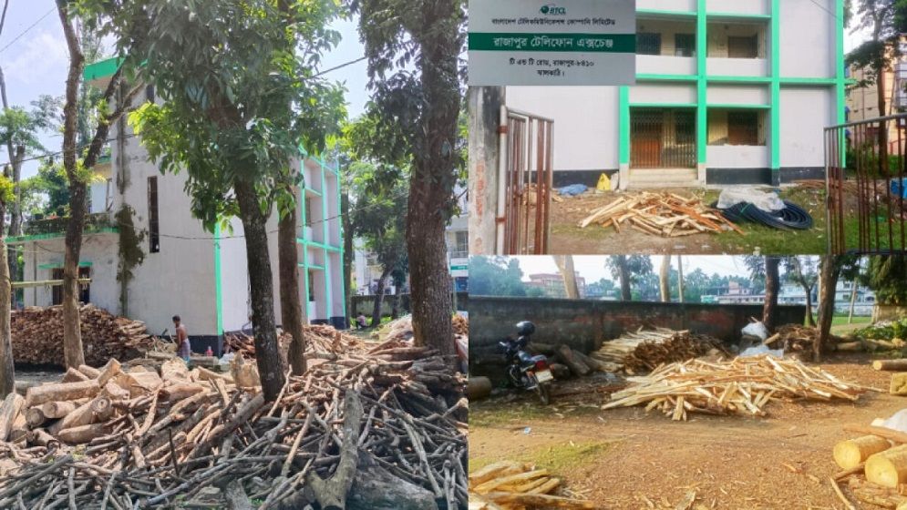 সরকারি টেলিফোন অফিসে রমরমা লাকড়ির ব্যবসা