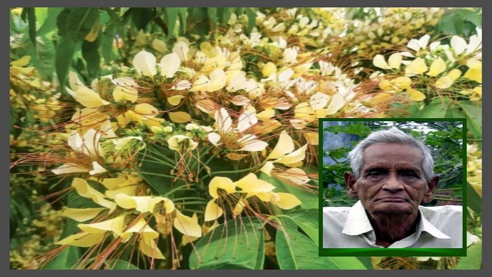 বরুনের অপ্রতিরোধ্য সম্ভাবনার প্রতীক্ষায় হাওরের ভাসান পানিতে নায্যতার স্বপ্ন 