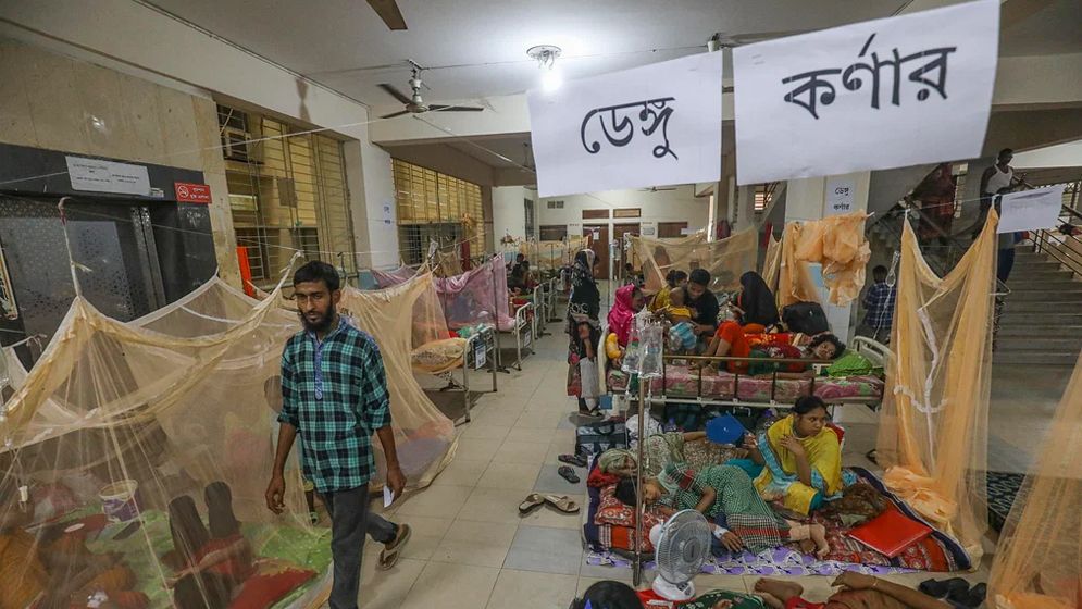 চলতি বছর ৪৬১ জনের প্রাণ কেড়েছে ডেঙ্গু