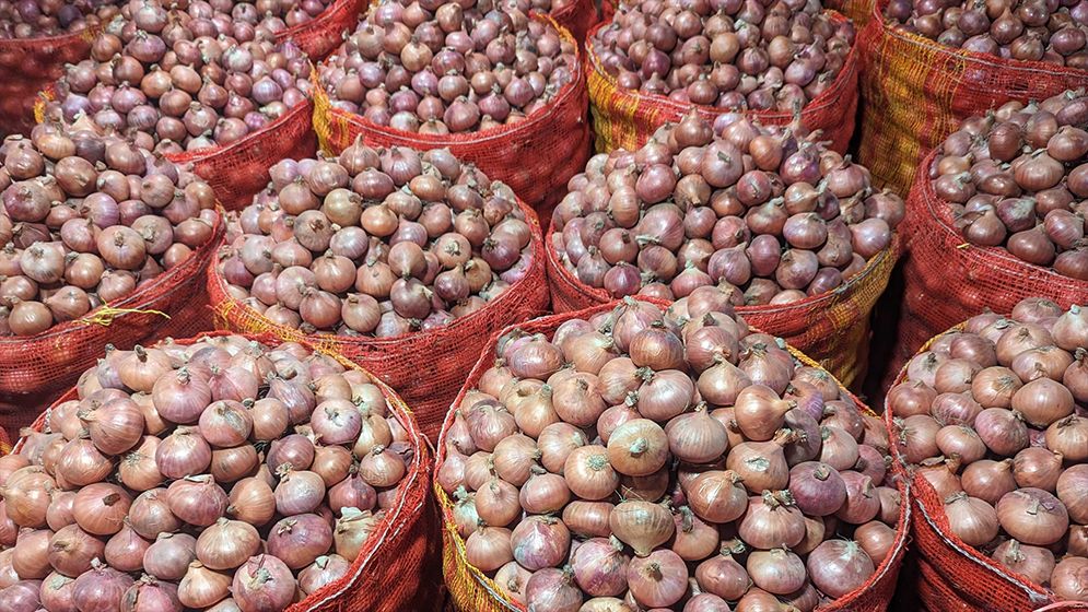 পেঁয়াজ আমদানিতে সম্পূর্ণ শুল্ক প্রত্যাহার