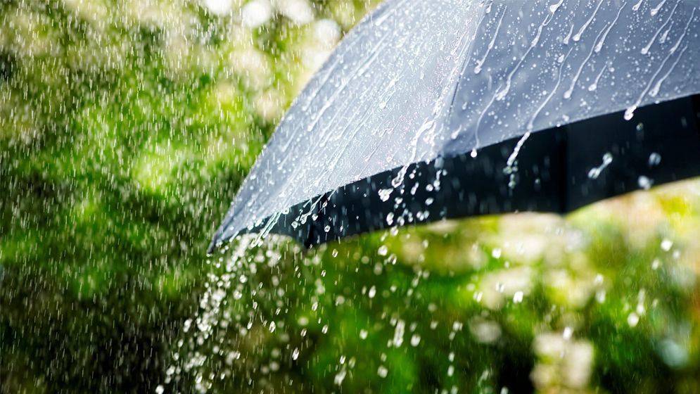 সাগরে গভীর নিম্নচাপ, যেসব অঞ্চলে বৃষ্টির আভাস 