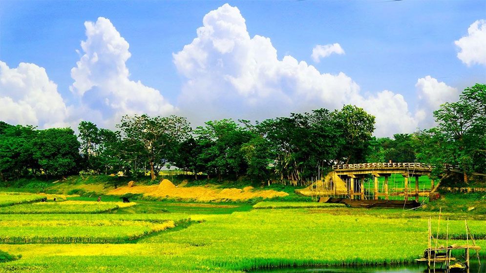 গ্রামে ফিরে আসুন