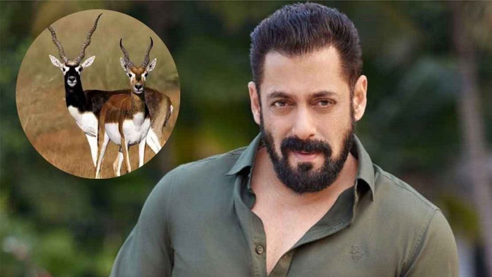 অবশেষে কৃষ্ণসার হরিণ হত্যা নিয়ে মুখ খুললেন সালমান খান