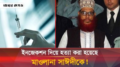ইনজেকশন দিয়ে হত্যা করা হয়েছে মাওলানা সাঈদীকে!